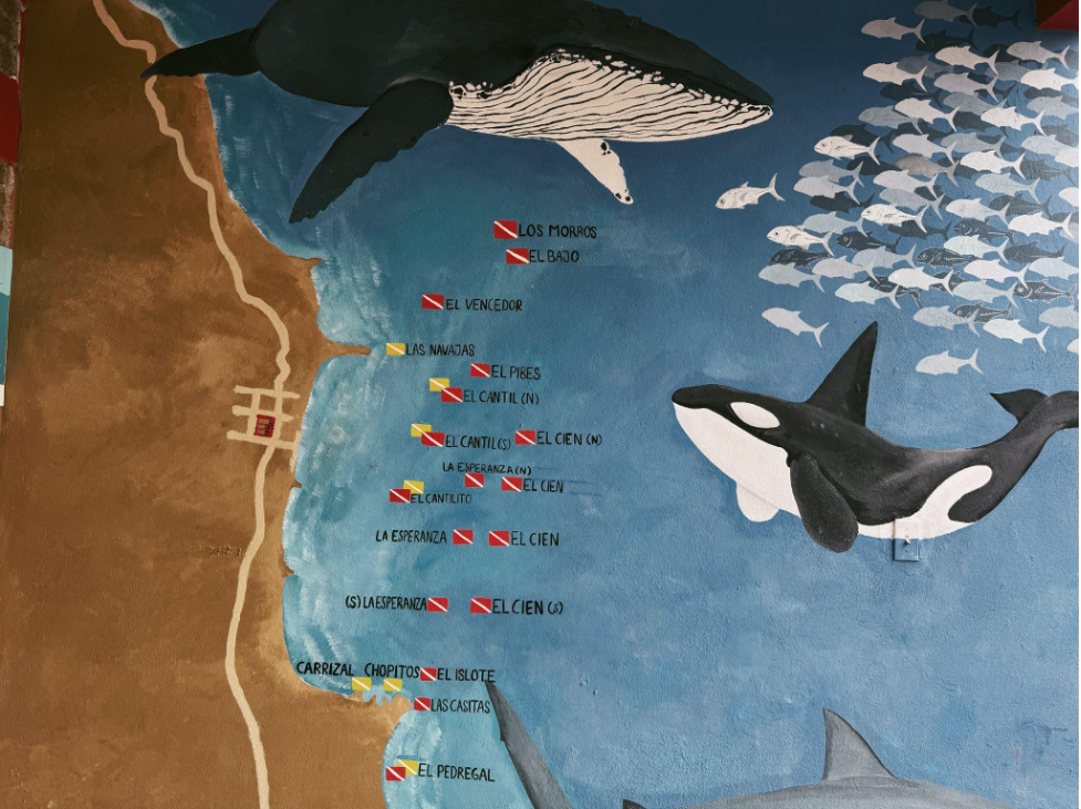 picture of Famous dive sites of Cabo Pulmo. Photo Credit: Andi Cross